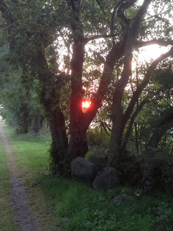 Paradiset Oestra Oeland Nedra Sandby Zewnętrze zdjęcie
